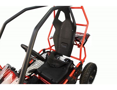 2 seater off road go kart store
